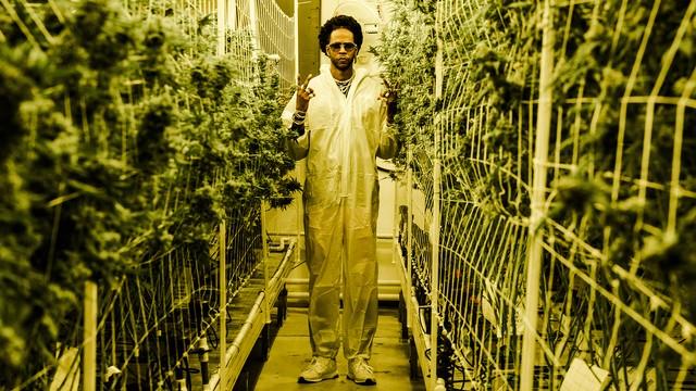 Weedonomics