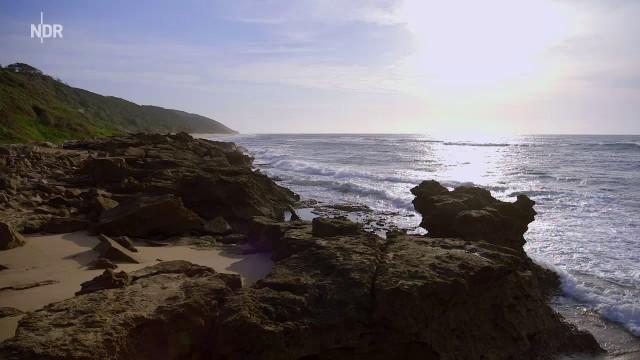Südafrikas Ostküste – Durban und das große Sardinen-Rennen