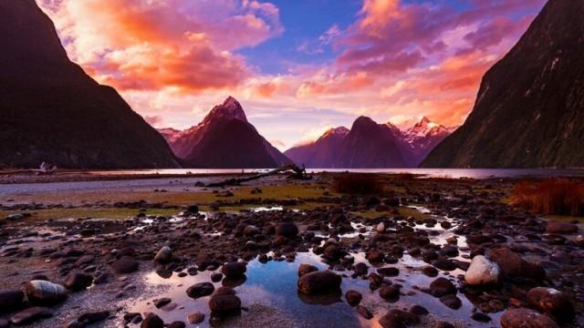 Wildes Neuseeland (3) – Kampf ums Paradies