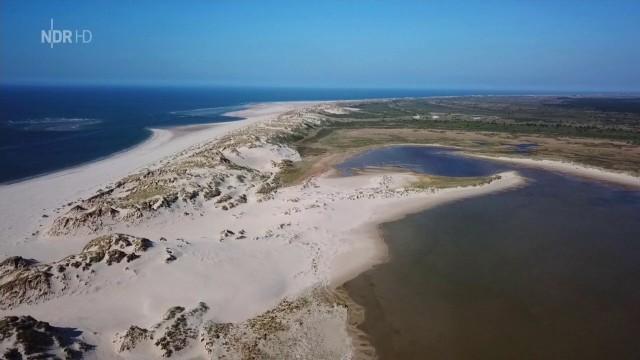 Hollands Nordseeinsel Terschelling – Die Perle im Watt