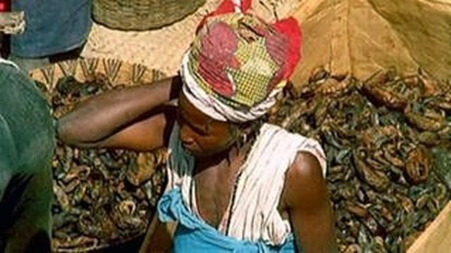 Kulturerbe Afrika