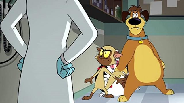 A Vampire at the Vet