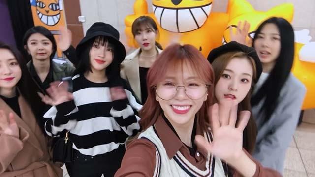 Let's Play With Dreamcatcher: M. Chat Cat Exhibition!