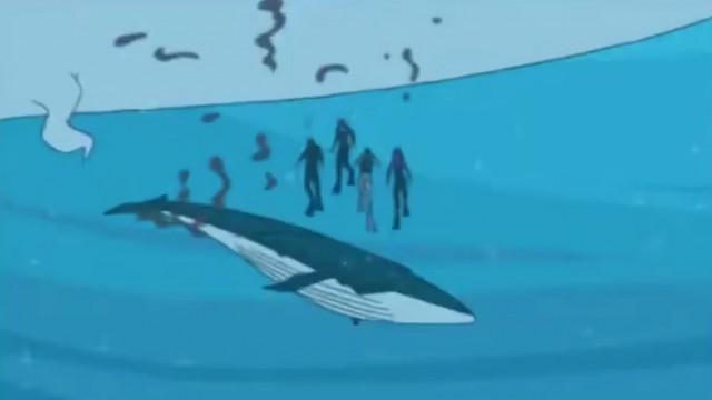 The Passionate Blue Whales
