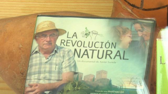El sanador