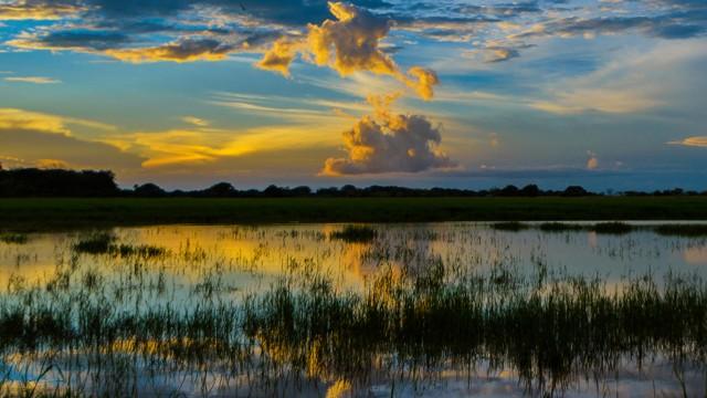 Warriors of the Llanos