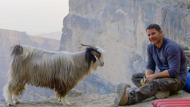 Oman: Desert Canyon