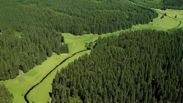 Sommer im Erzgebirge