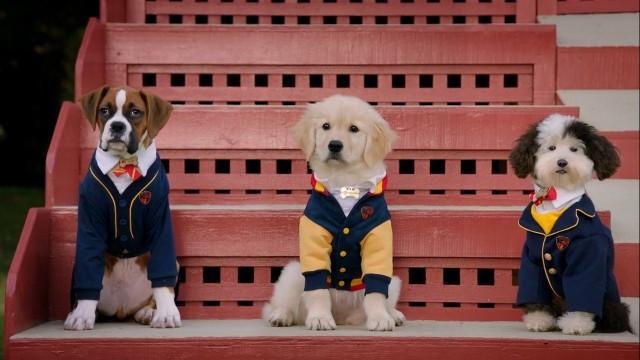 Les fauteurs de trouble