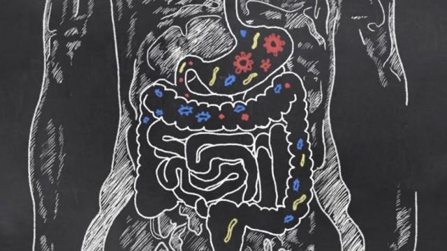 How Food Is Digested and Absorbed