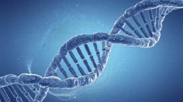 Nutritional Needs and Cellular Function