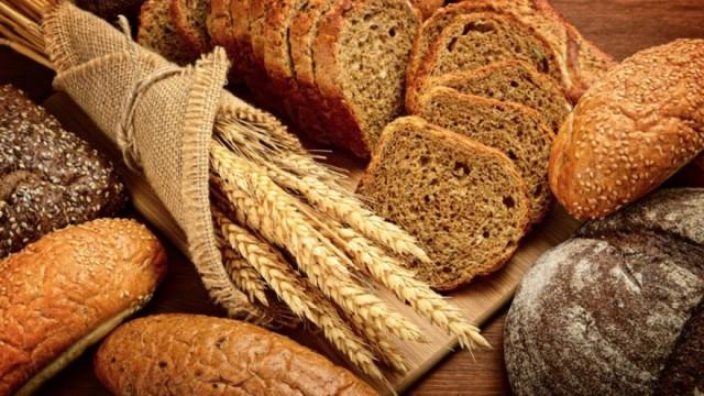 Carbohydrates: Composition, Storage, and Use