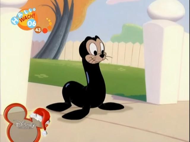 Pluto e la foca