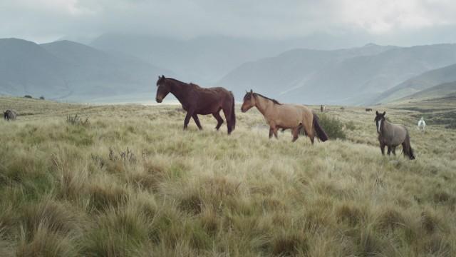 Chile and Argentina, from the Aconcagua to the Desert