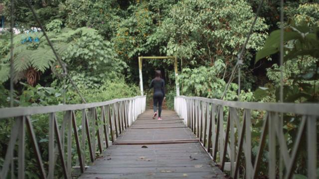 Colombia: Mountains and Lush Vegetation