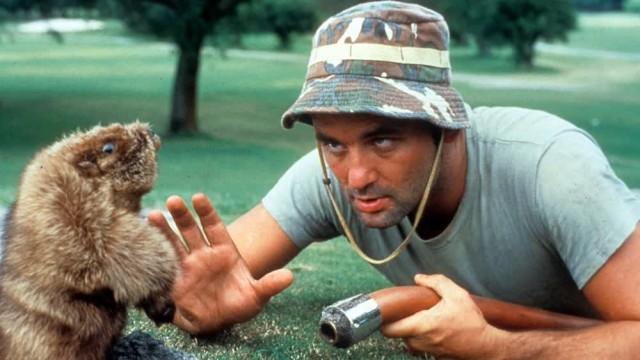 Discovering Bill Murray