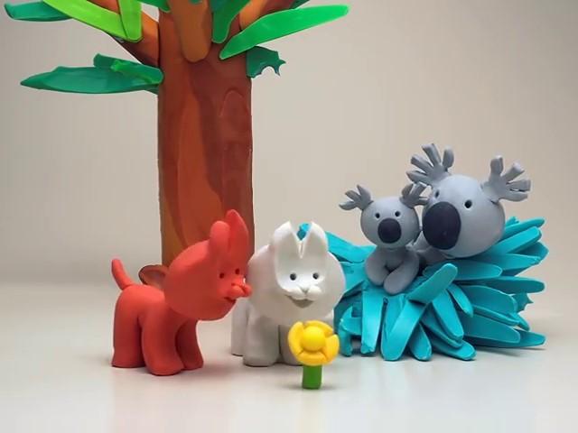 The Koala