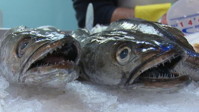 Pescado a examen