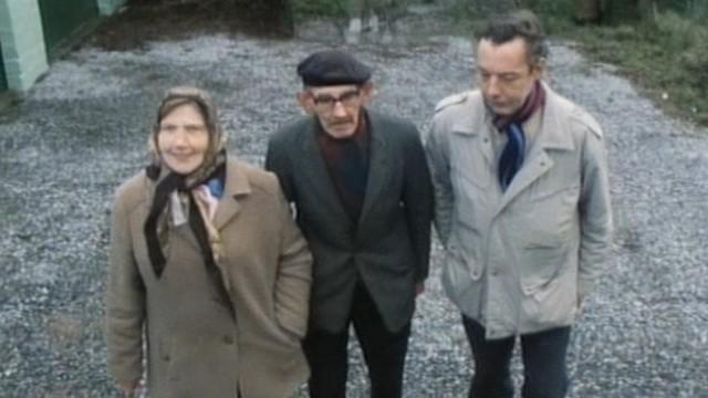 Les Dalton au ciné