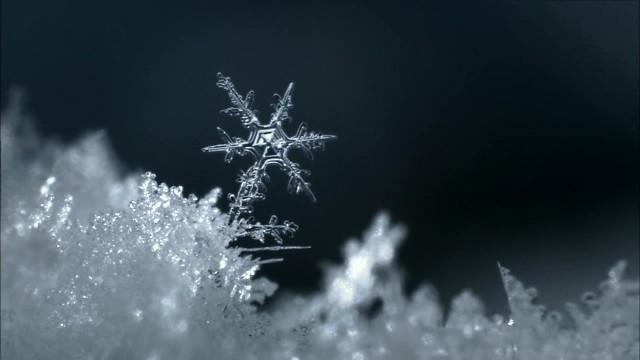 Weiß wie Schnee