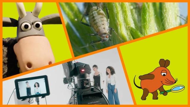 Gregor und einem Quadratmeter Natur am Rhein|Märchen vom grünäugigen Monster|ganz besonderer Roboter|Shaun und einer wilden Ziegen-Hypnose