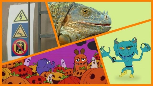 Vogel auf dem Draht|Willi Wiberg: Mehr Monster, Willi Wiberg|Gibt es noch lebende Dinosaurier?|Shaun das Schaf: Spuk in der Scheune