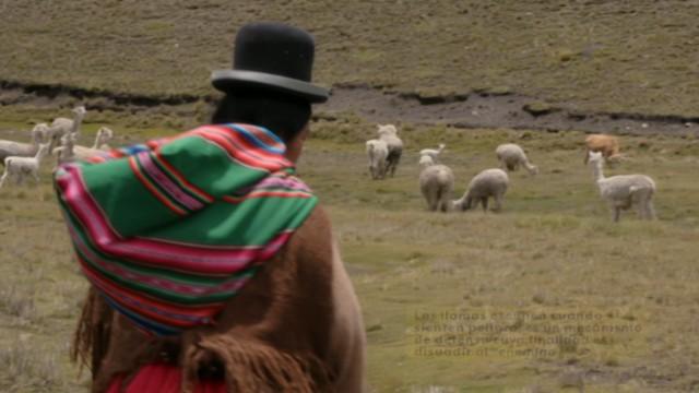 Bolivia