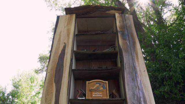 Live Edge Tall Case Wall Cabinet