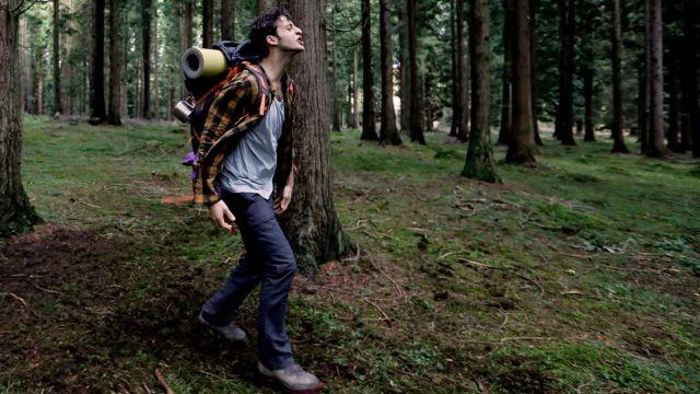Hay alguien en el bosque