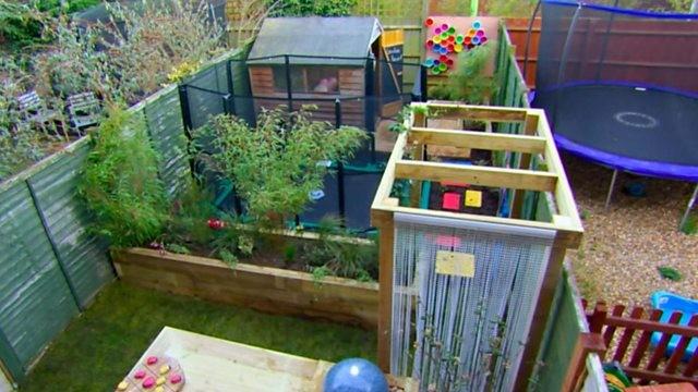 Top of the Plots: Therapeutic Gardens