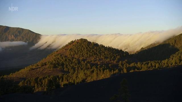 La Palma – Die grünste der Kanaren