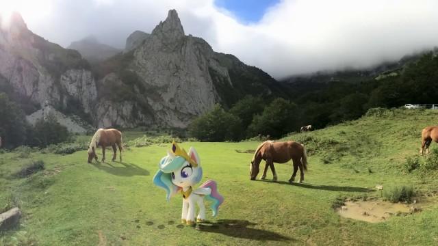 Book Filled Adventure