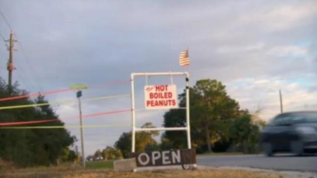 See Ya Later, Alligator