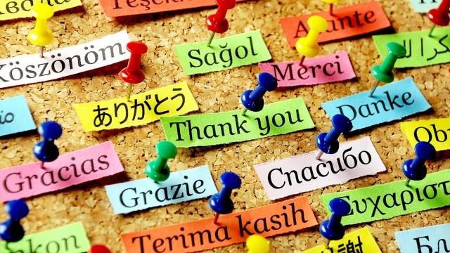 Why Are There So Many Languages?