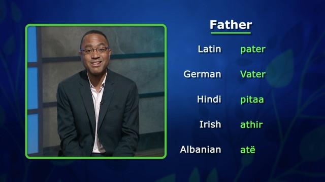 The First Family Discovered: Indo-European