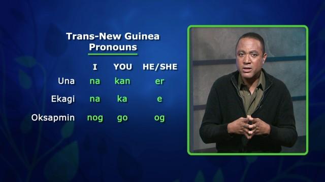 Why Are There So Many Languages in New Guinea?
