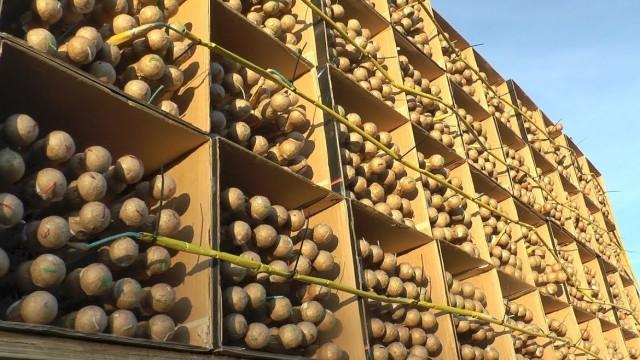 FIRING 1000 ROCKETS AT 1000 ROCKETS