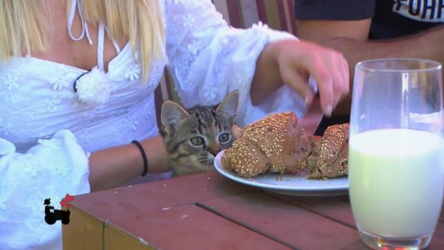 Katerfrühstück