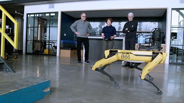 Incoming, Dynamic Robots, Grizzlies [Repeat]