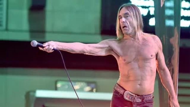 Discovering: Iggy Pop