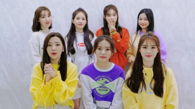 EP.15 'Zig Zag' MV Reaction