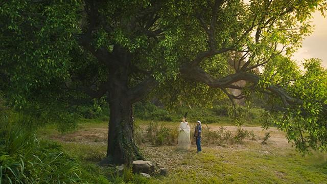 第11集 节日