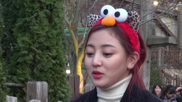Everland Part 2