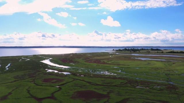 Dänemarks Insel Møn – Weiße Klippen in der Ostsee