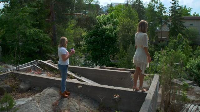 Husplaner, hormoner och ett kärt återseende