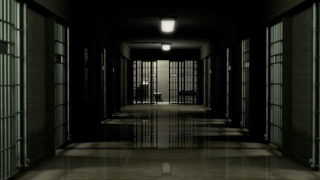 Portuguese Prison System