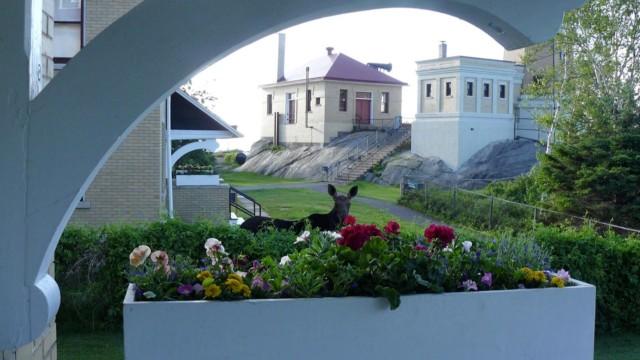 Juneteenth’s growth, state budget debate, Split Rock history
