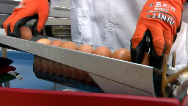 Huevos de oro