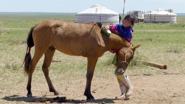 Erdene und das große Rennen