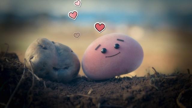 Potato